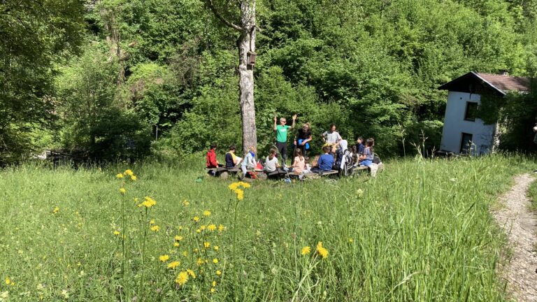 Forschungsprojekt natopia im Grünen