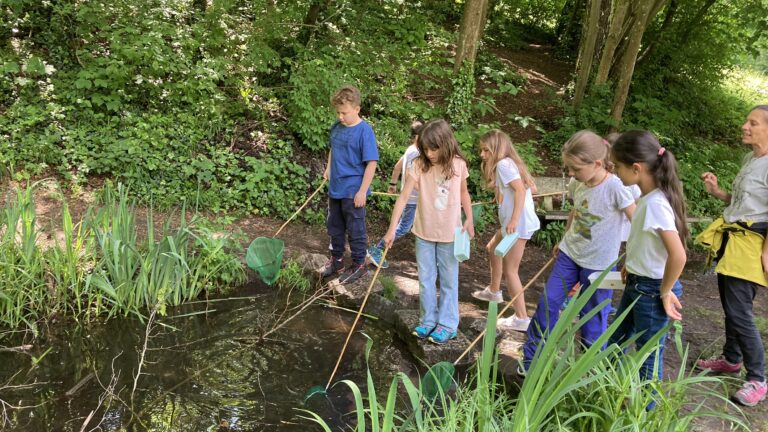 Forschungprojekt natopia Teich